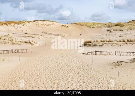 Touristes dans la magnifique réserve naturelle de Nagliai à Neringa, Lituanie. Dunes mortes, collines de sable construites par de forts vents, avec des ravins et de l'érosion Banque D'Images