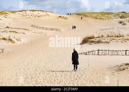 Touristes dans la magnifique réserve naturelle de Nagliai à Neringa, Lituanie. Dunes mortes, collines de sable construites par de forts vents, avec des ravins et de l'érosion Banque D'Images