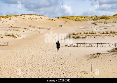 Touristes dans la magnifique réserve naturelle de Nagliai à Neringa, Lituanie. Dunes mortes, collines de sable construites par de forts vents, avec des ravins et de l'érosion Banque D'Images