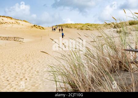 Touristes dans la magnifique réserve naturelle de Nagliai à Neringa, Lituanie. Dunes mortes, collines de sable construites par de forts vents, avec des ravins et de l'érosion Banque D'Images