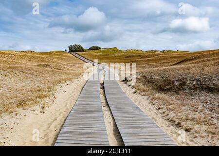 Chemin en bois dans la réserve naturelle de Nagliai à Neringa, Lituanie. Dunes mortes, collines de sable construites par de forts vents, avec des ravins et de l'érosion. Activité humaine Banque D'Images