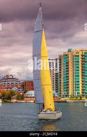 Un bateau à voile jaune dans la marina de Kingston avec des bâtiments sur le front de mer en arrière-plan, Ontario, Canada Banque D'Images