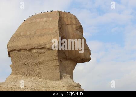 Sphinx, Égypte. Le célèbre grand sphinx au plateau de Gizeh, près du Caire, de l'Égypte, de Cheops Banque D'Images