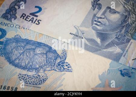 Argent brésilien, deux Reais avec une tortue Banque D'Images