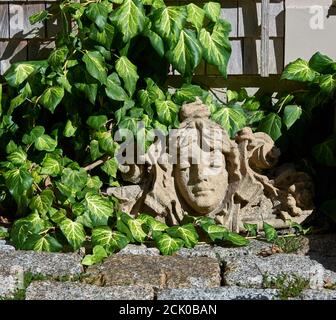 Décoration architecturale du visage d'une femme dans un jardin entouré de lierre. Au premier plan se trouvent des pavés en granit. Banque D'Images