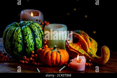 Variété de citrouilles, de baies de rowan et de bougies sur table en bois rustique et fond noir avec bokeh. Automne légumes symboliques en vert, jaune et Banque D'Images