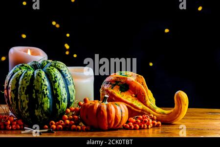 Variété de citrouilles, de baies de rowan et de bougies sur table en bois rustique et fond noir avec bokeh. Automne légumes symboliques en vert, jaune et Banque D'Images