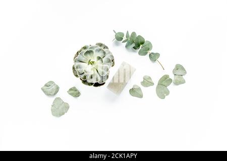 eucalyptus vert succulent, bougie, feuilles isolées sur fond blanc. flat lay, vue de dessus Banque D'Images