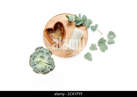 eucalyptus vert succulent, bougie, feuilles isolées sur fond blanc. flat lay, vue de dessus Banque D'Images