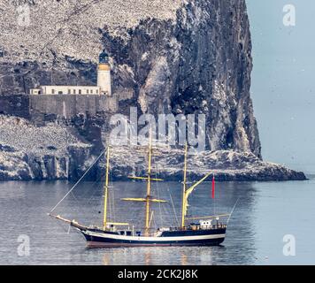 Pelican de Londres à l'ancre près de Bass Rock, East Lothian, Écosse, Royaume-Uni. Banque D'Images