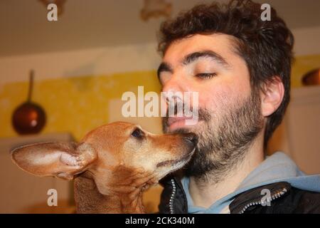affectueux petit chiot de pincher domestique brun Banque D'Images