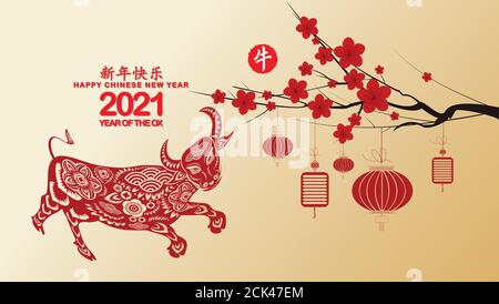 Nouvel an chinois 2021 avec fonds d'écran en fleurs. Année de l'Ox (traduction chinoise Happy Chinese New Year, Year of Ox) Illustration de Vecteur