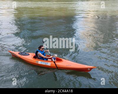 Kayakiste avec petit chien sur la rivière Chicago. Banque D'Images