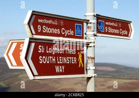 Panneau aux neuf pierres, Mount Leinster, County Carlow, Irlande, Europe Banque D'Images