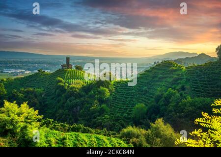 Collines Prosecco, vignobles et église San Lorenzo au coucher du soleil. Site de l'UNESCO. Farra di Soligo. Vénétie, Italie, Europe. Banque D'Images