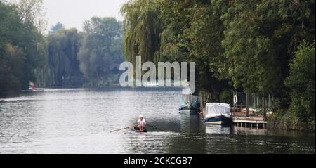 Un rameur voyage le long de la Tamise près de Maidenhead, Berkshire. Banque D'Images