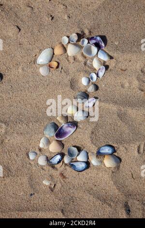 Numéro 2 disposé à partir de coquillages sur le sable. Arrière-plan marin. Le symbole est deux. Coques. Copier l'espace. Banque D'Images