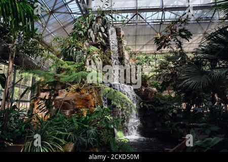 Queen Sirikit jardin botanique, atmosphère dans la pépinière de différentes plantes de jardin, fleurs d'hiver situé Mae Rim District, une conservation et touristique Banque D'Images