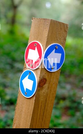 flèches circulaires rouges et bleues de direction du chemin de pied sur le montant en bois Banque D'Images