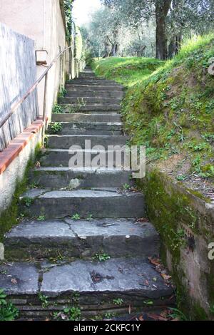 vieux escalier raide en montée dans la roche, long chemin sans fin qui longe les jardins Banque D'Images