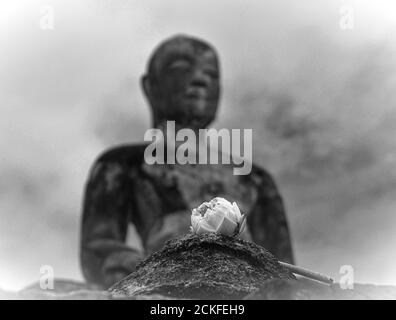 Une image rapprochée d'une fleur de lotus blanche donnée comme offrande dans un temple thaïlandais, sur un fond flou d'une statue de bouddha assise. Banque D'Images