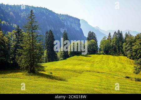 Paysage suisse vu d'Ibergeregg à Rickenbach dans le canton de Schwyz, Suisse. Banque D'Images