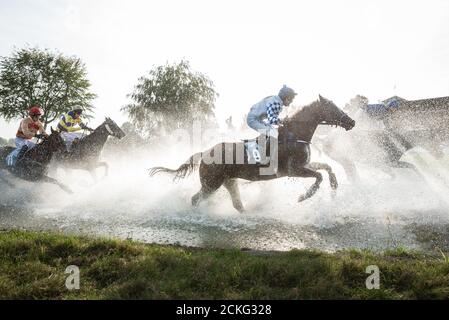 WROCLAW, POLOGNE - 13 SEPTEMBRE 2020: Greate Wroclawska International Horse Racing avec des clôtures pour chevaux de cinq ans et plus à l'hippodrome WTWK part Banque D'Images