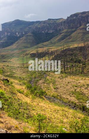 L'après-midi, vue sur la rivière Injisuthi, qui traverse une vallée dans les montagnes centrales du Drakensberg, en Afrique du Sud Banque D'Images