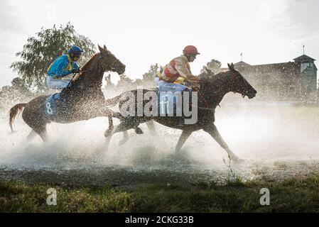 WROCLAW, POLOGNE - 13 SEPTEMBRE 2020: Greate Wroclawska International Horse Racing avec des clôtures pour chevaux de cinq ans et plus à l'hippodrome WTWK part Banque D'Images