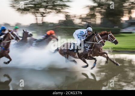 WROCLAW, POLOGNE - SEPTEMBRE 13; 2020: International Horse course WTWK Partynice avec des clôtures pour chevaux âgés de cinq ans et plus. Banque D'Images