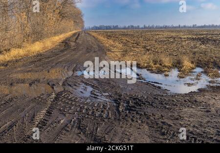 Paysage agricole avec une route de terre sale à côté du champ de tournesol récolté à la fin de la saison automnale dans l'oblast de Poltavskaya, en Ukraine Banque D'Images