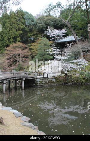 jardin d'un temple bouddhiste (chion-in) à kyoto (japon) Banque D'Images