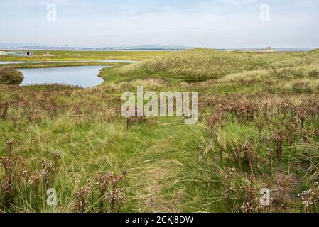 Réserve naturelle de South Walney Banque D'Images