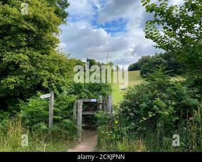 Église du village de Hambledon. Une église anglicane évangélique de Surrey, en Angleterre. Historiquement connu sous le nom de St Peters. L'église est située près de la ville de Banque D'Images