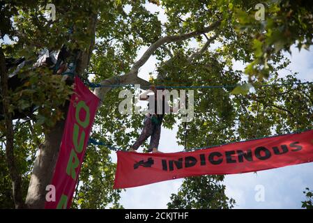 Londres, Royaume-Uni. 16 septembre 2020. Le 16 septembre 2020, les manifestants de la rébellion d'extinction continuent de remonter un arbre sur la place du Parlement, dans le centre de Londres. C'est le jour 15 de leur protestation exigeant que le projet de loi d'urgence climatique et écologique (CEE) soit adopté par le gouvernement. Le projet de loi réduira les émissions de carbone du Royaume-Uni et tiendra une assemblée nationale des citoyens sur la crise. (Photo de Claire Doherty/Sipa USA) crédit: SIPA USA/Alay Live News Banque D'Images