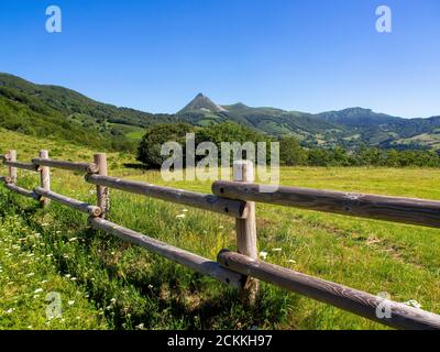 Le Puy Griou dans le Parc naturel régional des volcans d'Auvergne, département du Cantal, Auvergne Rhône Alpes, France Banque D'Images