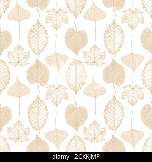 Automne abstrait paillettes or transparent érable hêtre linden feuilles de bouleau squelettes motif sans couture. Décoration étincelante de luxe à feuilles dorées sur blanc b. Banque D'Images