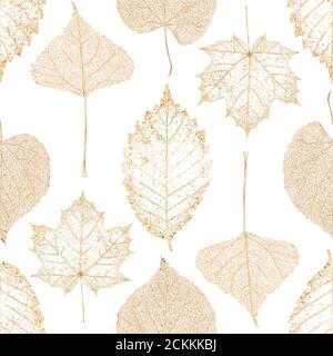 Automne abstrait paillettes or transparent érable hêtre linden feuilles de bouleau squelettes motif sans couture. Décoration étincelante de luxe à feuilles dorées sur blanc b. Banque D'Images