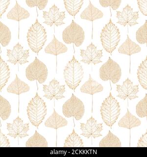 Automne abstrait paillettes or transparent érable hêtre linden feuilles de bouleau squelettes motif sans couture. Décoration étincelante de luxe à feuilles dorées sur blanc b. Banque D'Images