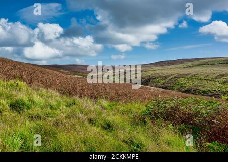 Les collines autour de White Coppice, Heapy Moor et Wheelton Moor, Lancashire, Royaume-Uni Banque D'Images