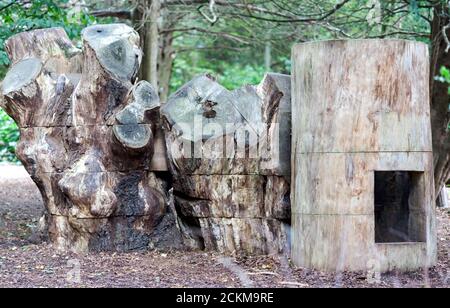 Vue rapprochée d'une maison d'arbre dans le nouveau sentier Woodland Play, au parc du château Walmer, Walmer, Kent Banque D'Images