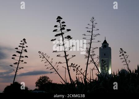 La mosquée de Sidi Bou dit dans la nouvelle ville de Sidi Bou dit près de la ville de Tunis au nord de la Tunisie en Afrique du Nord, Tunisie, Sidi Bou Sair, Marc Banque D'Images