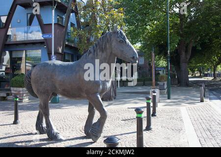 Statue équine trouvée à Brewery Square à Dorchester par Shirley Pace au Royaume-Uni. Pris le 20 juillet 2020. Banque D'Images