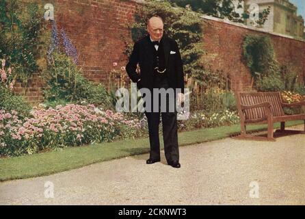 Winston Churchill dans le jardin du 10 Downing Street, pendant la deuxième Guerre mondiale. Sir Winston Leonard Spencer-Churchill, 1874 – 1965. Politicien britannique, officier de l'armée, écrivain et deux fois Premier ministre du Royaume-Uni. Banque D'Images