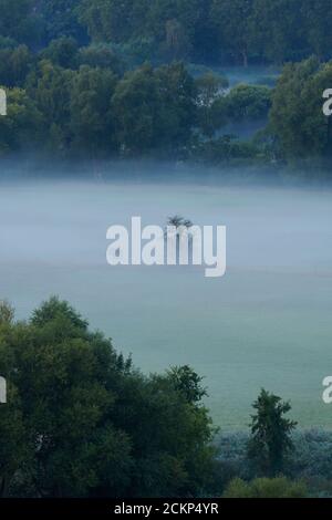 Blick von einer Aussichtsplattform in die Saarner Aue frueh morgens zur 'Blauen Stunde'. Banque D'Images