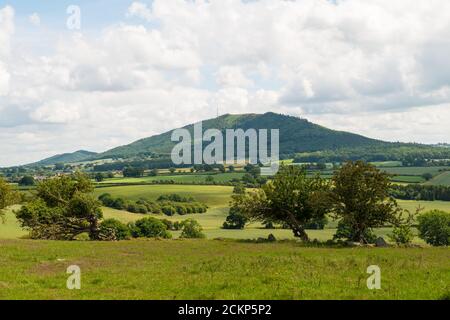 Vue sur la colline de Wrekin dans le Shropshire de Wellington à travers les champs et arbres au premier plan en été avec ciel nuageux Banque D'Images