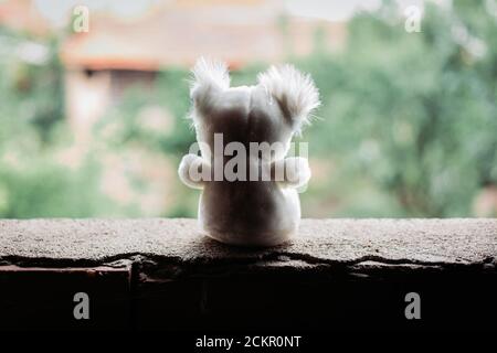 Silhouette d'ours en peluche assis sur la fenêtre. Tristesse, concept de la Journée internationale des enfants disparus Banque D'Images