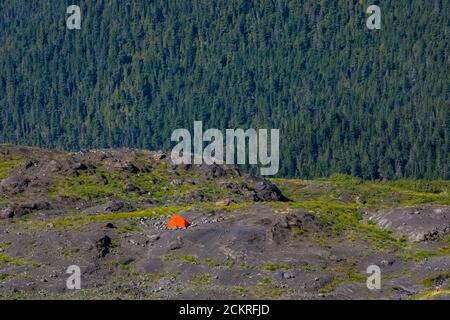 Les sites de tentage utilisés par les grimpeurs et les routards dans le camp de Hogsback, sur Heliotrope Ridge, sous le mont Baker, dans la forêt nationale de Mount Baker-Snoqualmie, Washington Banque D'Images