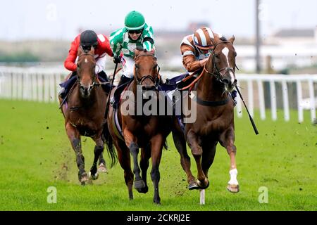 Le Prince Caspian est monté par le jockey Tom Marquand (à droite) sur le chemin de gagner le Free Tips Daily sur attheraces.com handicap à l'hippodrome de Great Yarmouth. Banque D'Images