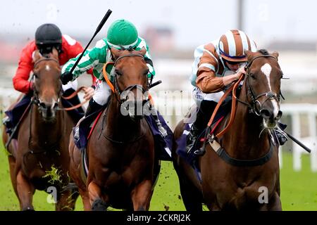 Le Prince Caspian est monté par le jockey Tom Marquand (à droite) sur le chemin de gagner le Free Tips Daily sur attheraces.com handicap à l'hippodrome de Great Yarmouth. Banque D'Images